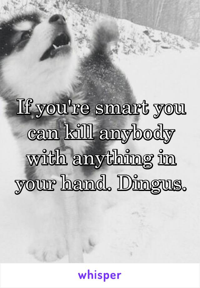 If you're smart you can kill anybody with anything in your hand. Dingus.