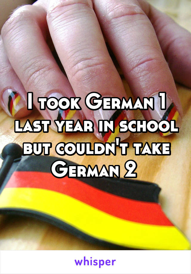 I took German 1 last year in school but couldn't take German 2 