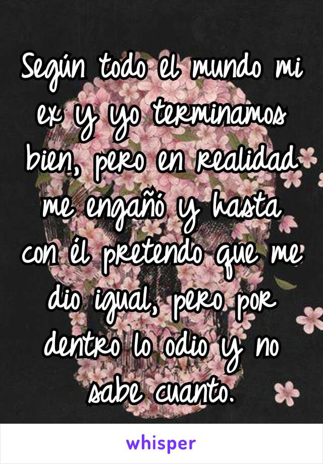 Según todo el mundo mi ex y yo terminamos bien, pero en realidad me engañó y hasta con él pretendo que me dio igual, pero por dentro lo odio y no sabe cuanto.