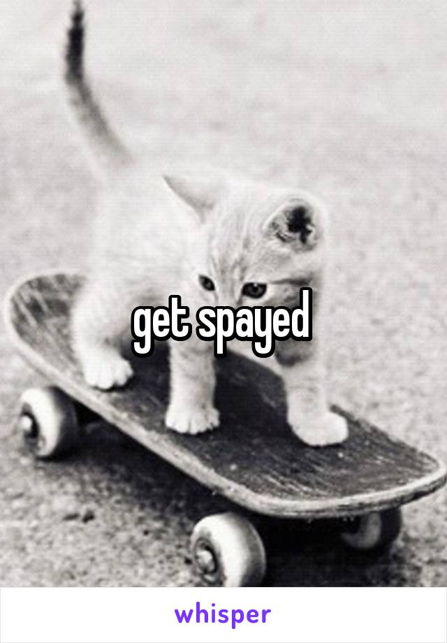 get spayed 