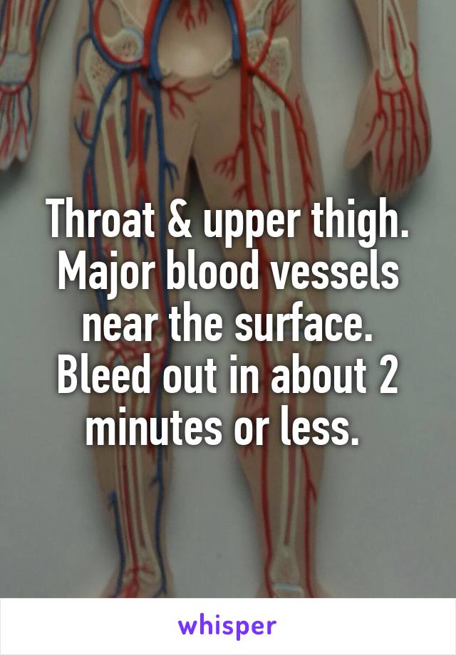 Throat & upper thigh.
Major blood vessels near the surface.
Bleed out in about 2 minutes or less. 