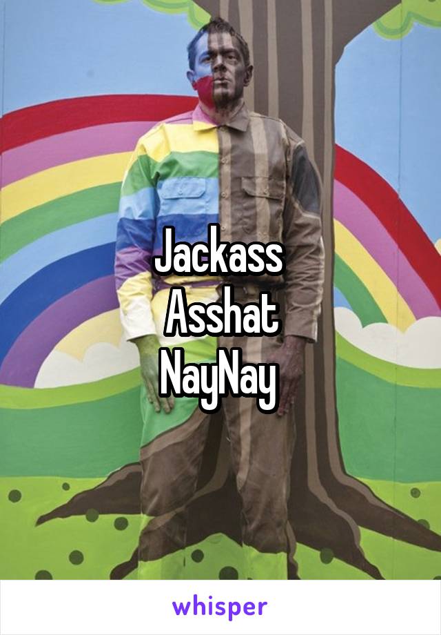 Jackass 
Asshat
NayNay 