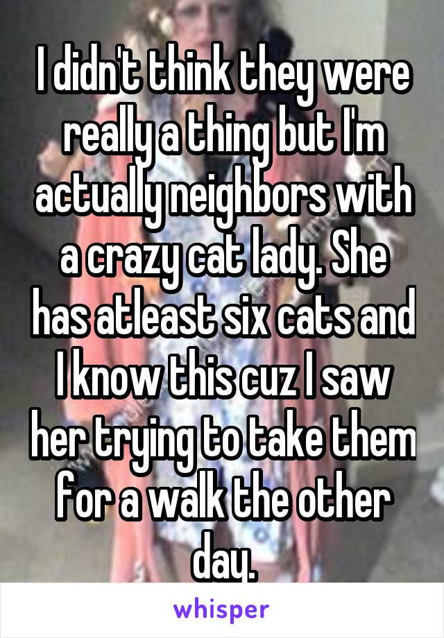 I didn't think they were really a thing but I'm actually neighbors with a crazy cat lady. She has atleast six cats and I know this cuz I saw her trying to take them for a walk the other day.