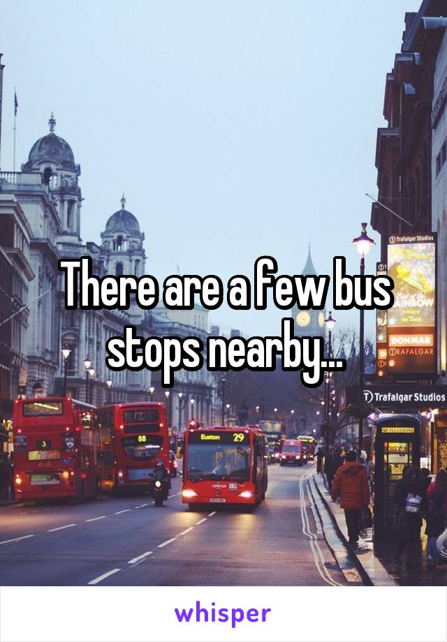 There are a few bus stops nearby...