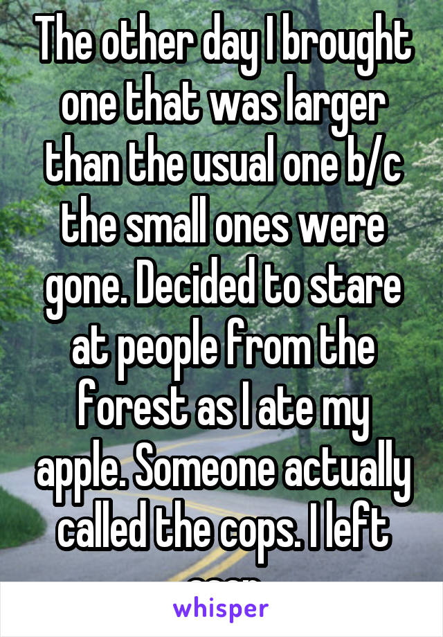 The other day I brought one that was larger than the usual one b/c the small ones were gone. Decided to stare at people from the forest as I ate my apple. Someone actually called the cops. I left asap