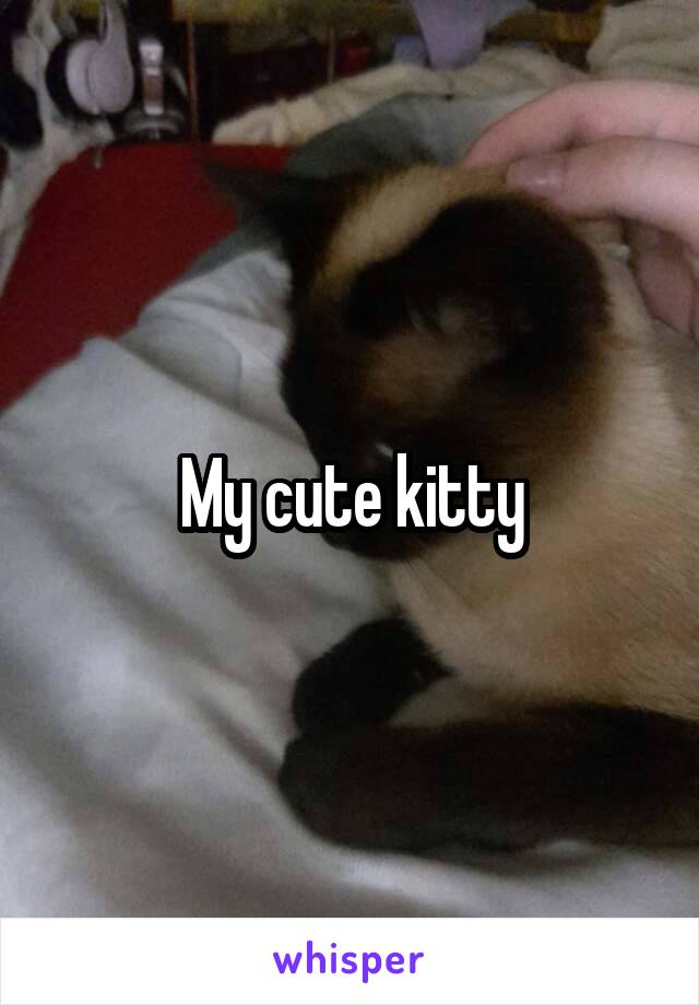 My cute kitty