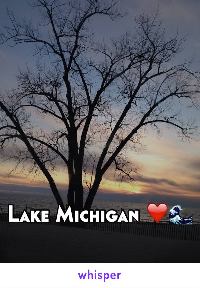 Lake Michigan ❤️🌊