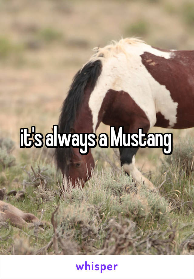 it's always a Mustang 