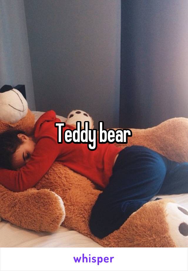 Teddy bear 