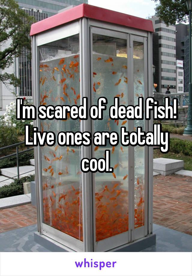 I'm scared of dead fish! Live ones are totally cool.