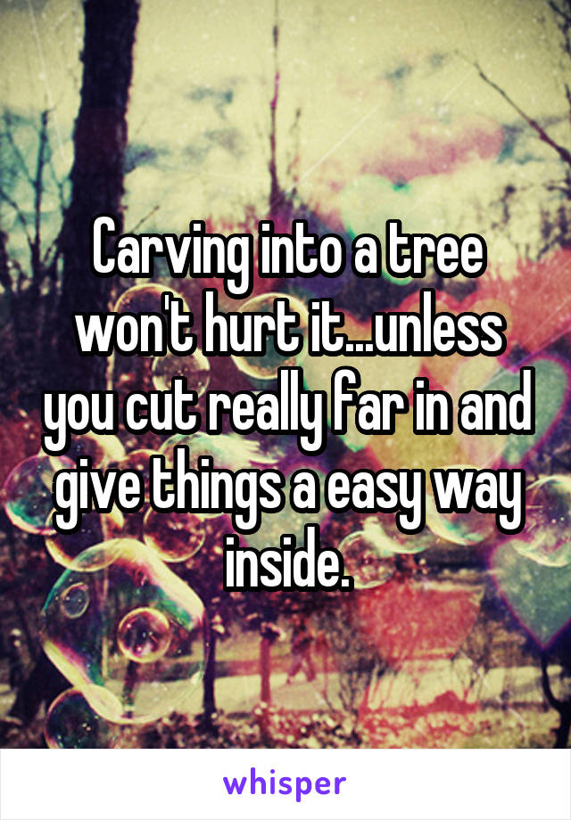 Carving into a tree won't hurt it...unless you cut really far in and give things a easy way inside.