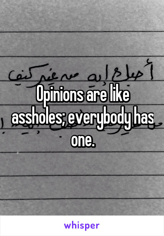 Opinions are like assholes; everybody has one.