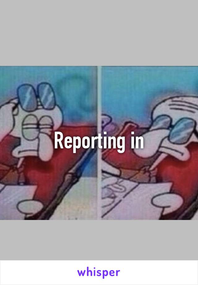 Reporting in