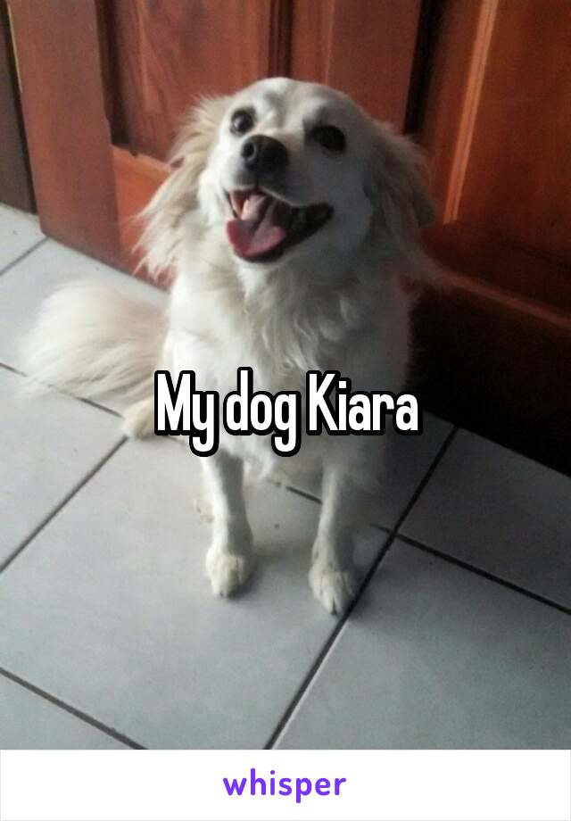 My dog Kiara