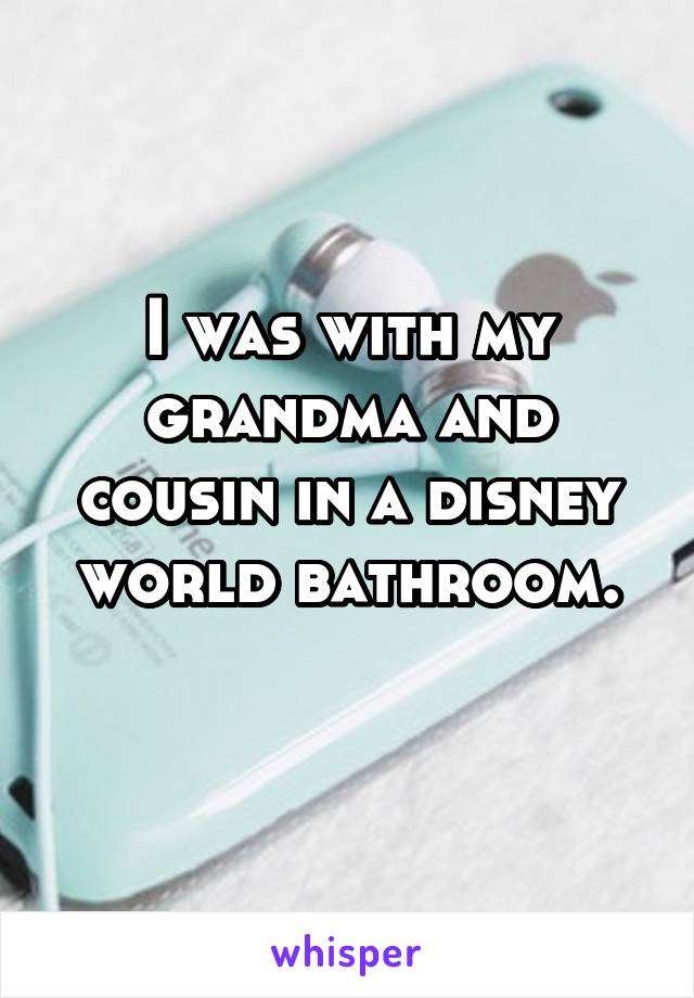 I was with my grandma and cousin in a disney world bathroom.
