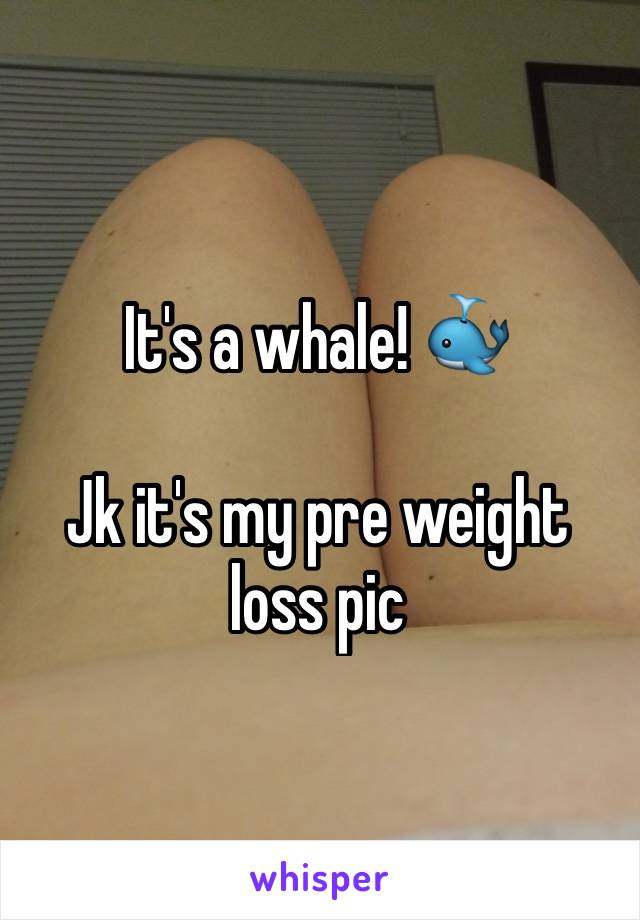 It's a whale! 🐳

Jk it's my pre weight loss pic