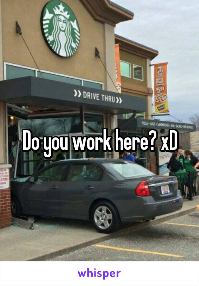 Do you work here? xD