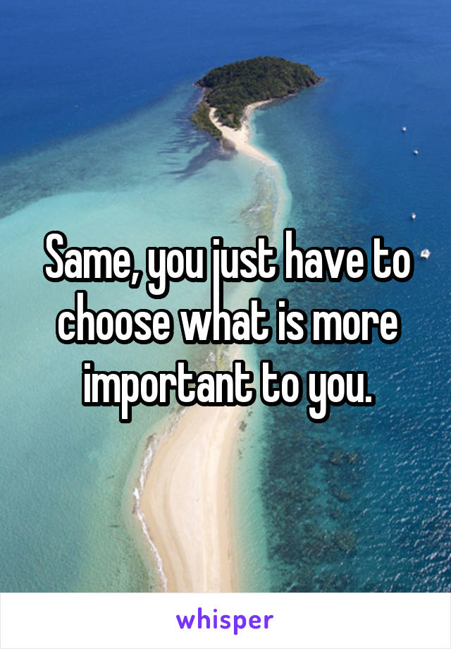 same-you-just-have-to-choose-what-is-more-important-to-you