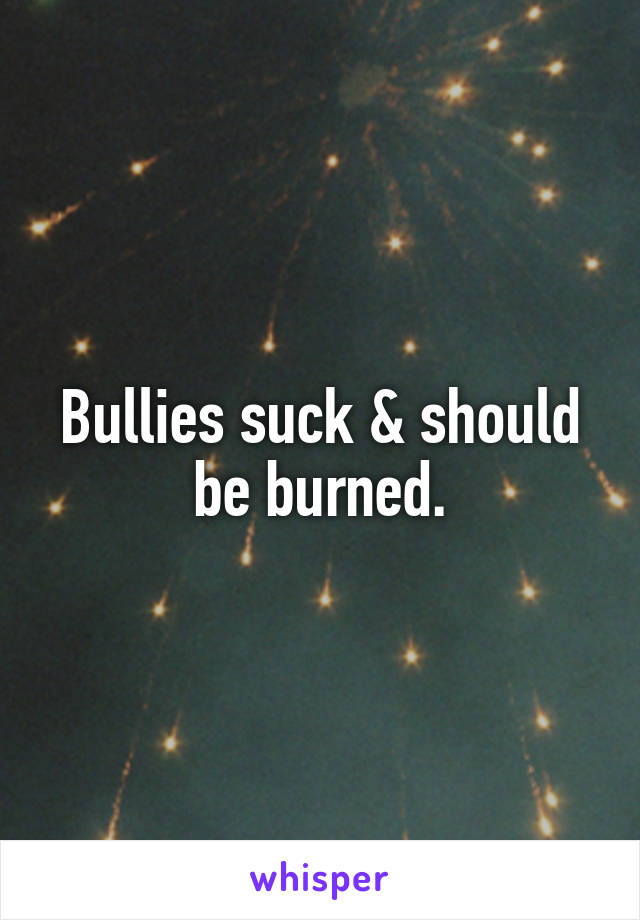 Bullies suck & should be burned.