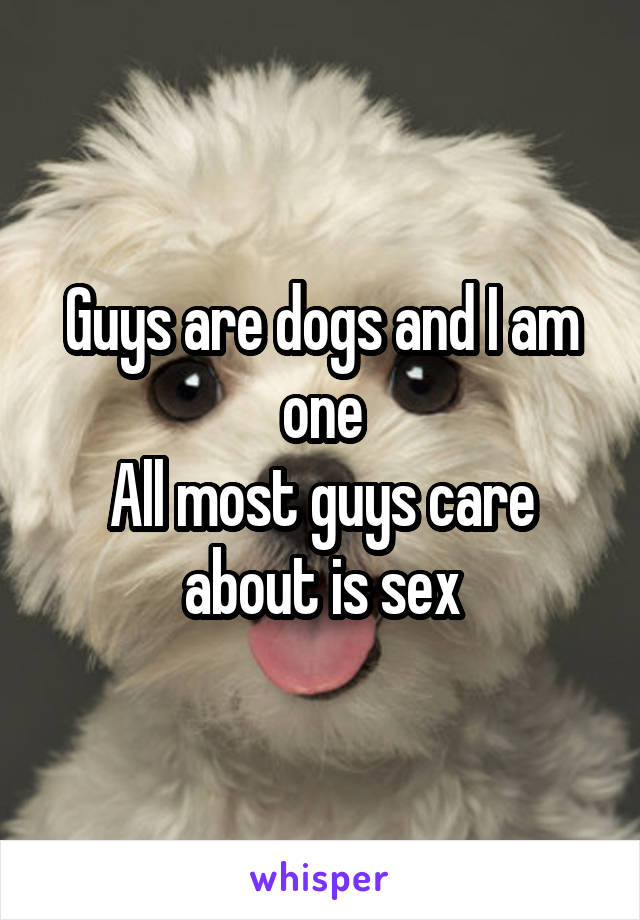 Guys are dogs and I am one
All most guys care about is sex