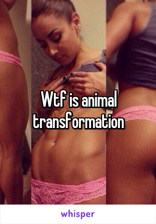 Wtf is animal transformation