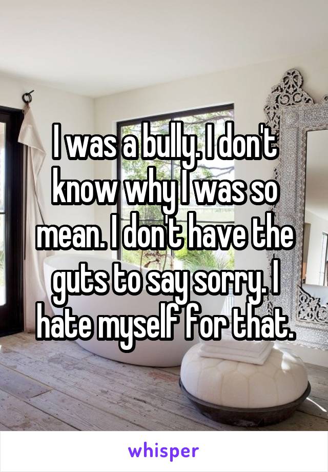 I was a bully. I don't know why I was so mean. I don't have the guts to say sorry. I hate myself for that.