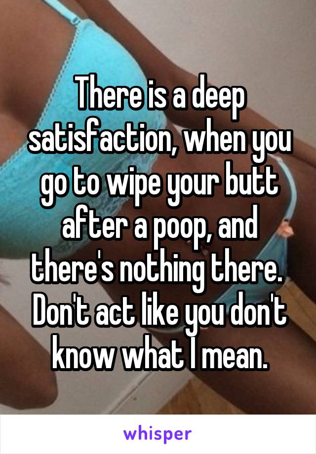 There is a deep satisfaction, when you go to wipe your butt after a poop, and there's nothing there.  Don't act like you don't know what I mean.