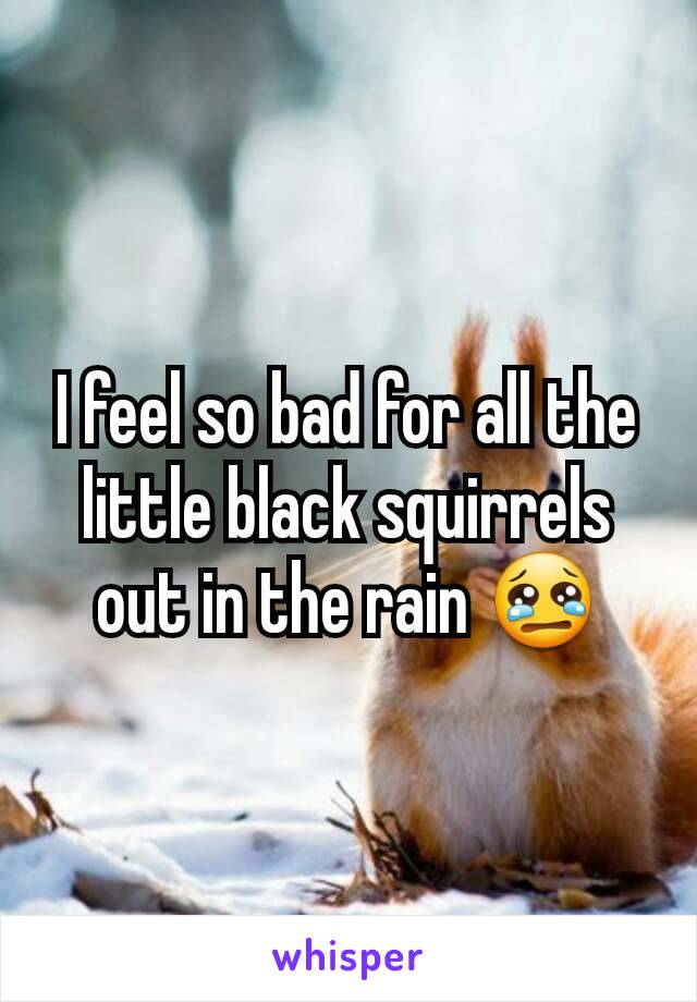 I feel so bad for all the little black squirrels out in the rain 😢