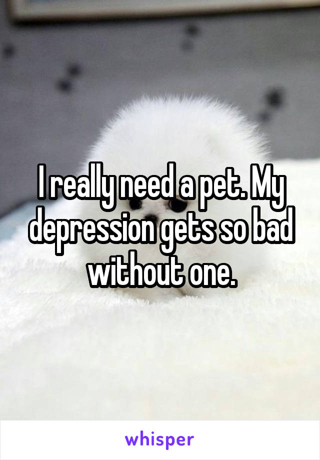 I really need a pet. My depression gets so bad without one.