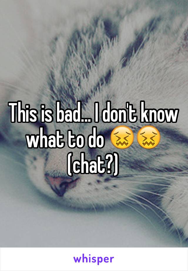 This is bad... I don't know what to do 😖😖 (chat?)