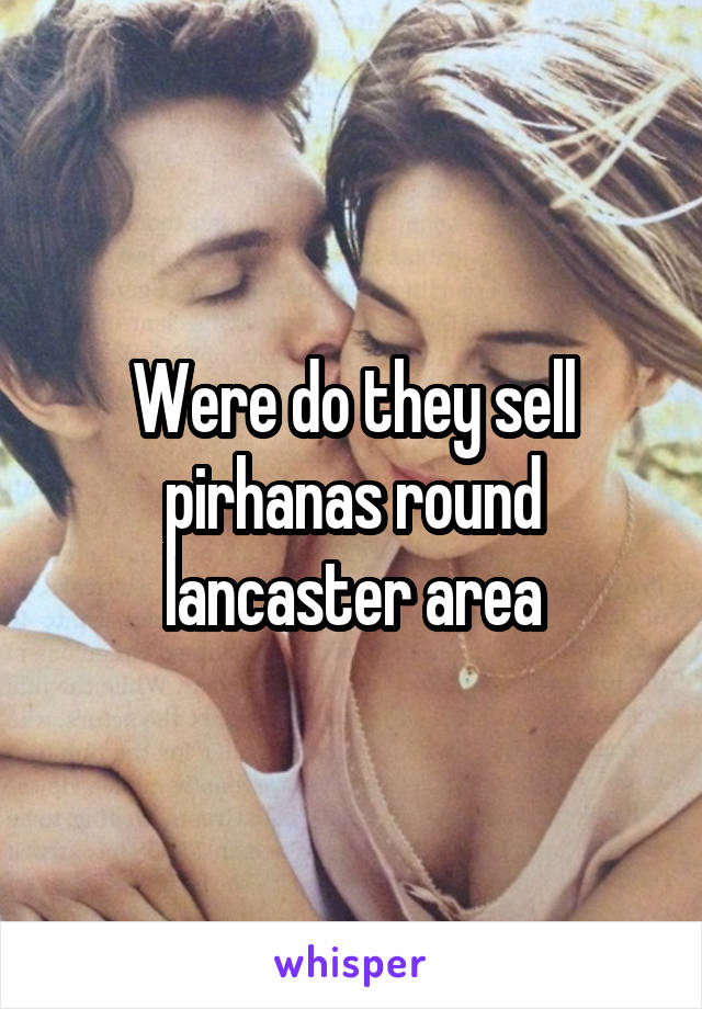 Were do they sell pirhanas round lancaster area