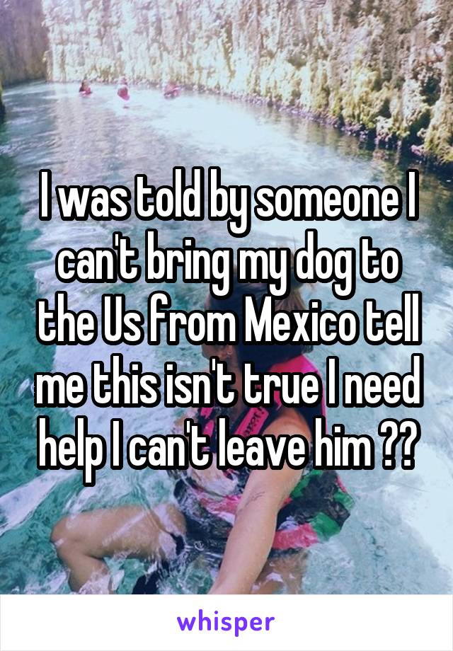 I was told by someone I can't bring my dog to the Us from Mexico tell me this isn't true I need help I can't leave him 😭😰