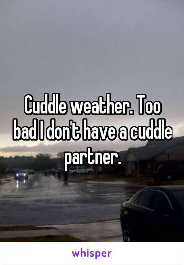 Cuddle weather. Too bad I don't have a cuddle partner.