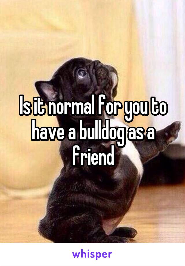 Is it normal for you to have a bulldog as a friend