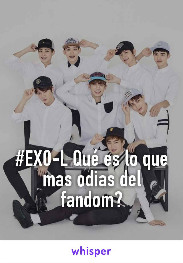 #EXO-L Qué es lo que mas odias del fandom?