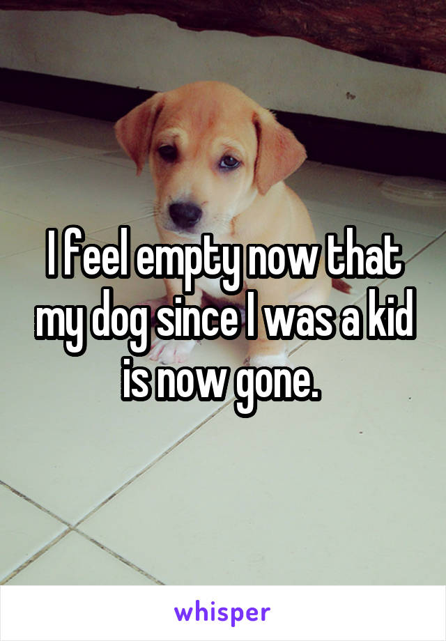 I feel empty now that my dog since I was a kid is now gone. 