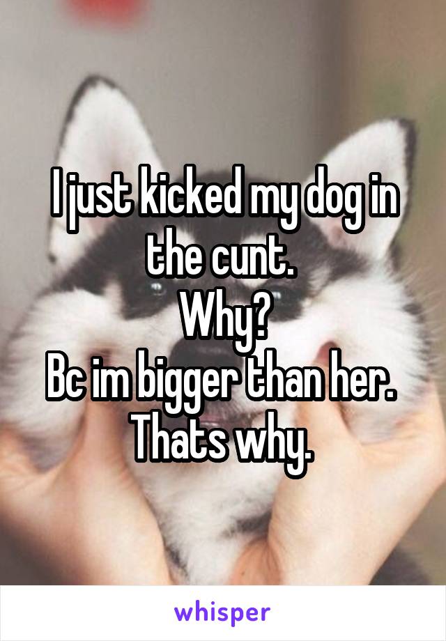 I just kicked my dog in the cunt. 
Why?
Bc im bigger than her. 
Thats why. 