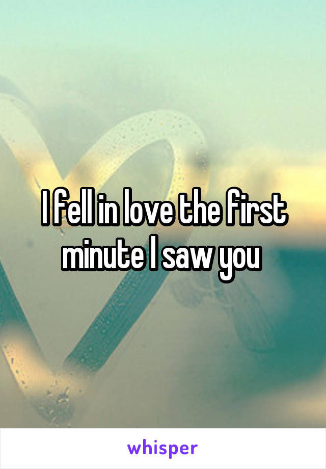 I fell in love the first minute I saw you 