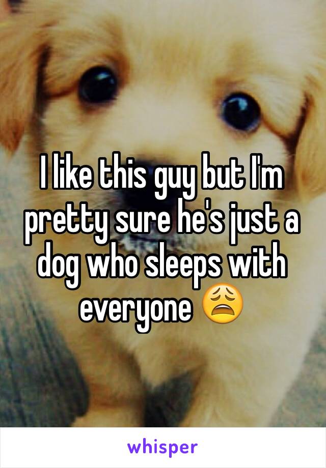 I like this guy but I'm pretty sure he's just a dog who sleeps with everyone 😩