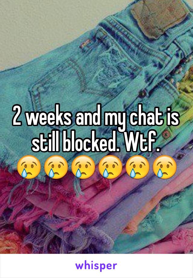 2 weeks and my chat is still blocked. Wtf. 
😢😢😢😢😢😢