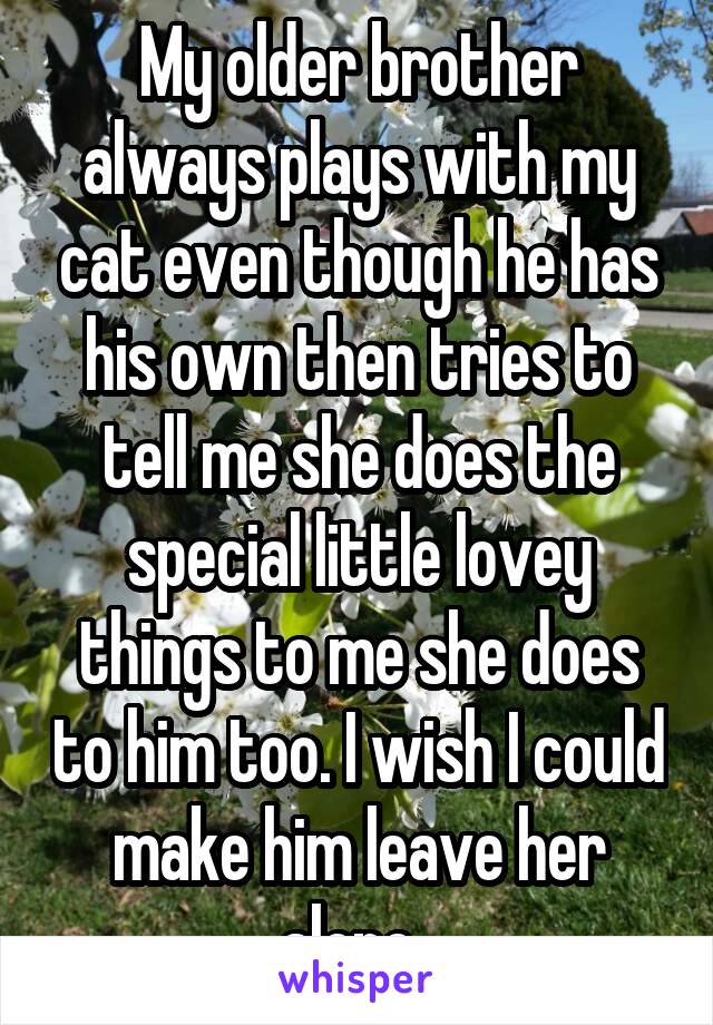 My older brother always plays with my cat even though he has his own then tries to tell me she does the special little lovey things to me she does to him too. I wish I could make him leave her alone. 
