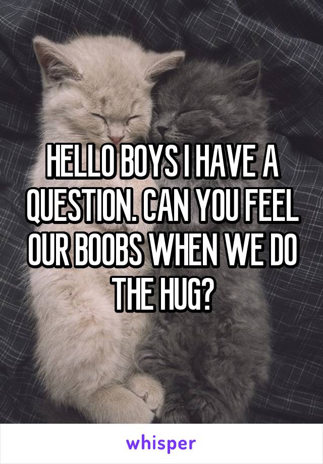 HELLO BOYS I HAVE A QUESTION. CAN YOU FEEL OUR BOOBS WHEN WE DO THE HUG?