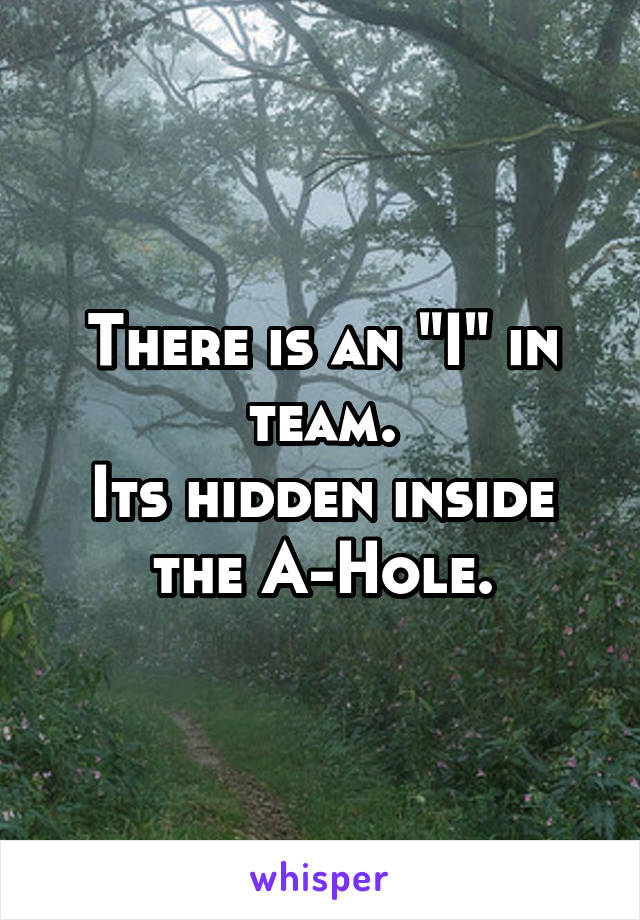 There is an "I" in team.
Its hidden inside the A-Hole.