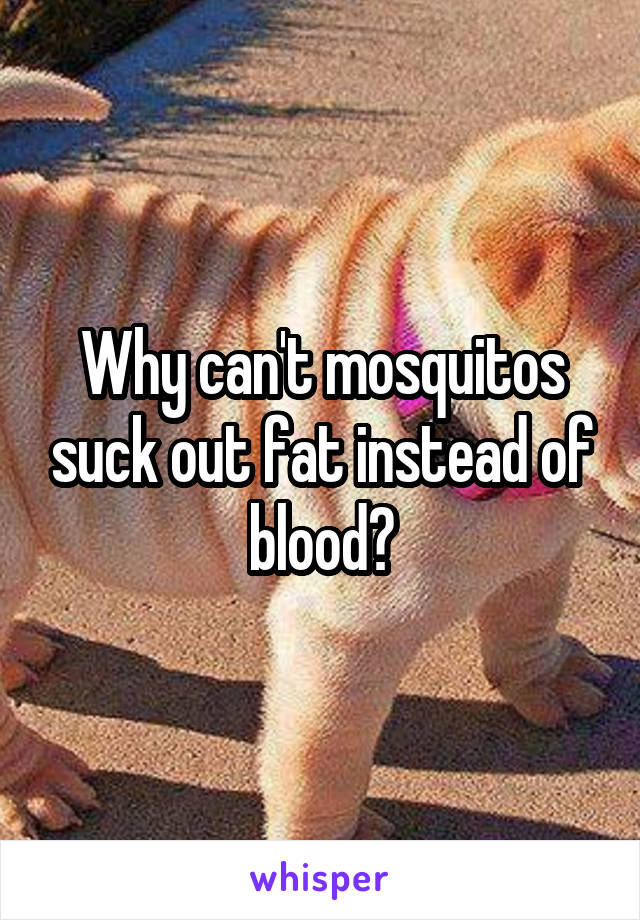 Why can't mosquitos suck out fat instead of blood?