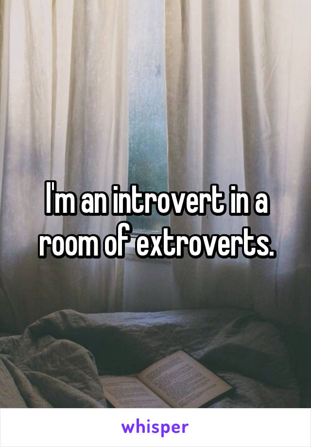 I'm an introvert in a room of extroverts.