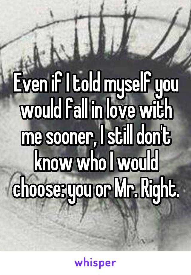 Even if I told myself you would fall in love with me sooner, I still don't know who I would choose: you or Mr. Right.