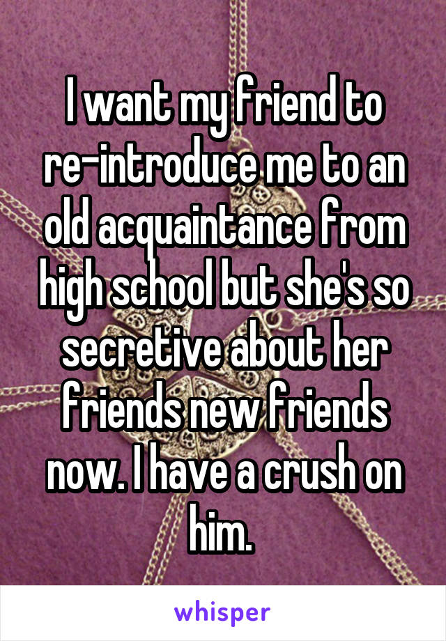 I want my friend to re-introduce me to an old acquaintance from high school but she's so secretive about her friends new friends now. I have a crush on him. 