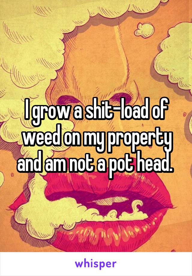 I grow a shit-load of weed on my property and am not a pot head. 