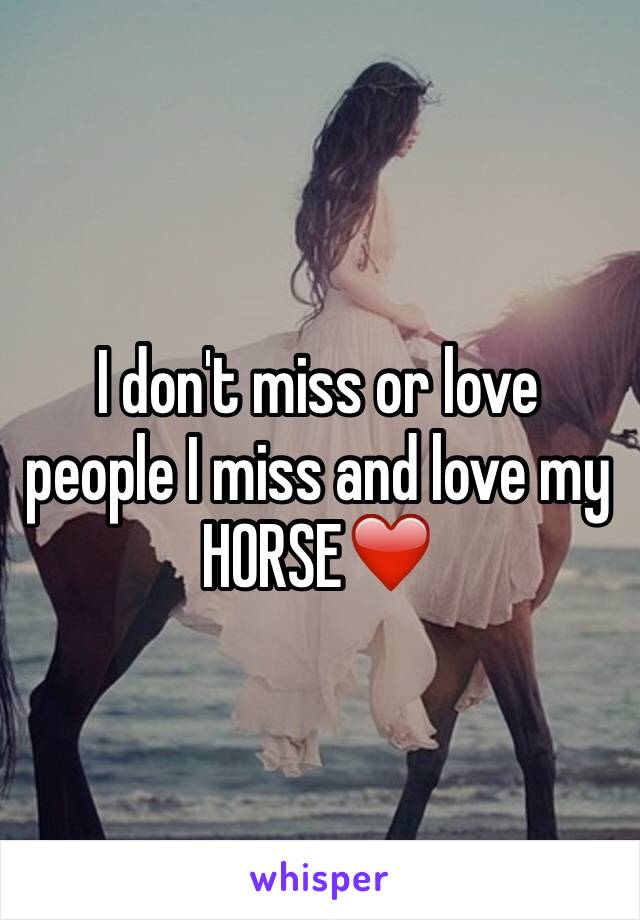 I don't miss or love people I miss and love my HORSE❤️