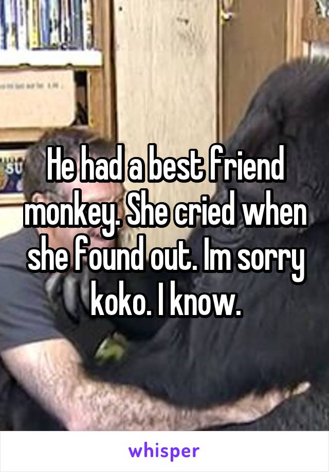 He had a best friend monkey. She cried when she found out. Im sorry koko. I know.